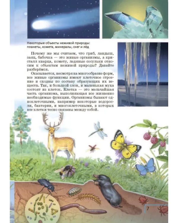 Биология. 5 класс. Учебник