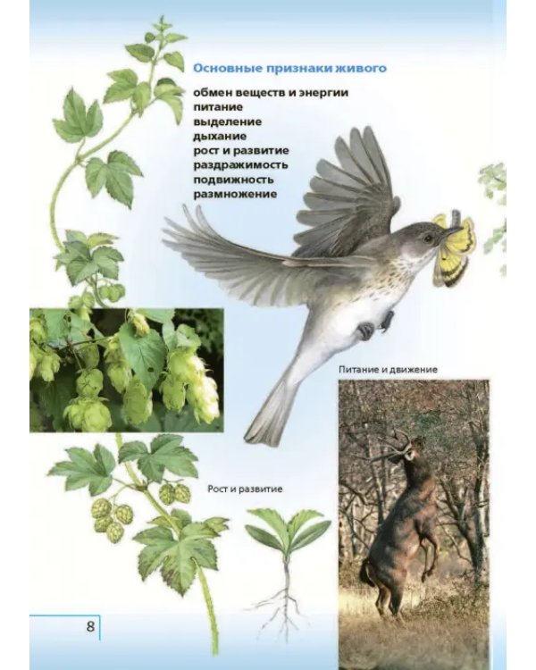 Биология. 5 класс. Учебник