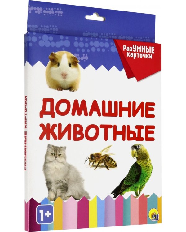 Дополнительное изображение книги «Разумные карточки. Домашние животные»