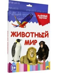 Разумные карточки. Животный мир