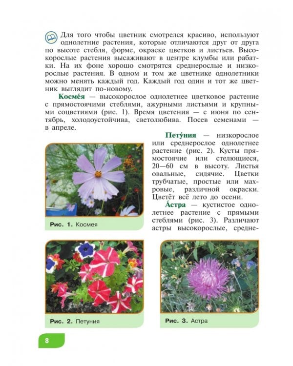 Дополнительное изображение книги «Технология. Цветоводство и декоративное садоводство. 6 класс. Учебник. ФГОС ОВЗ»