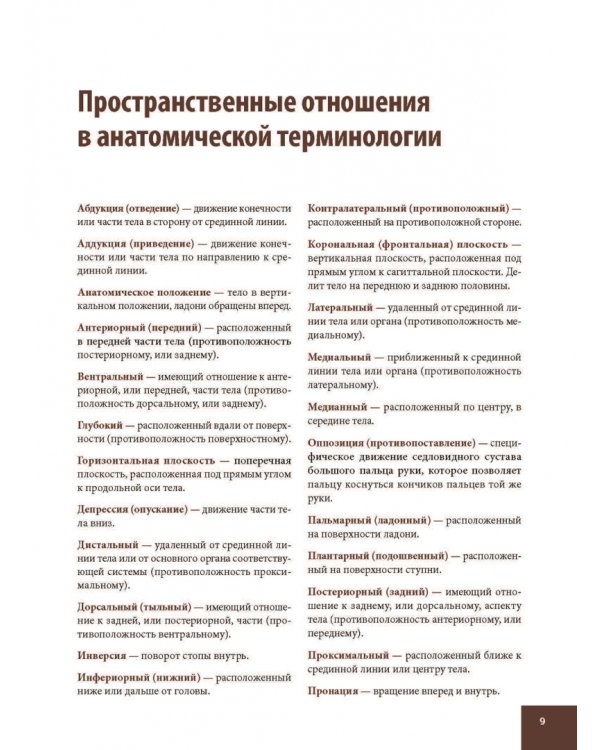 Анатомия спортивных травм