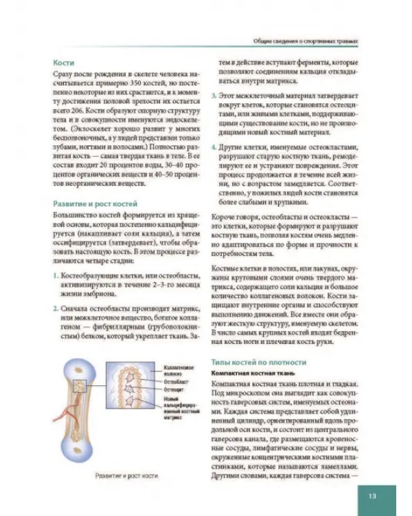 Анатомия спортивных травм
