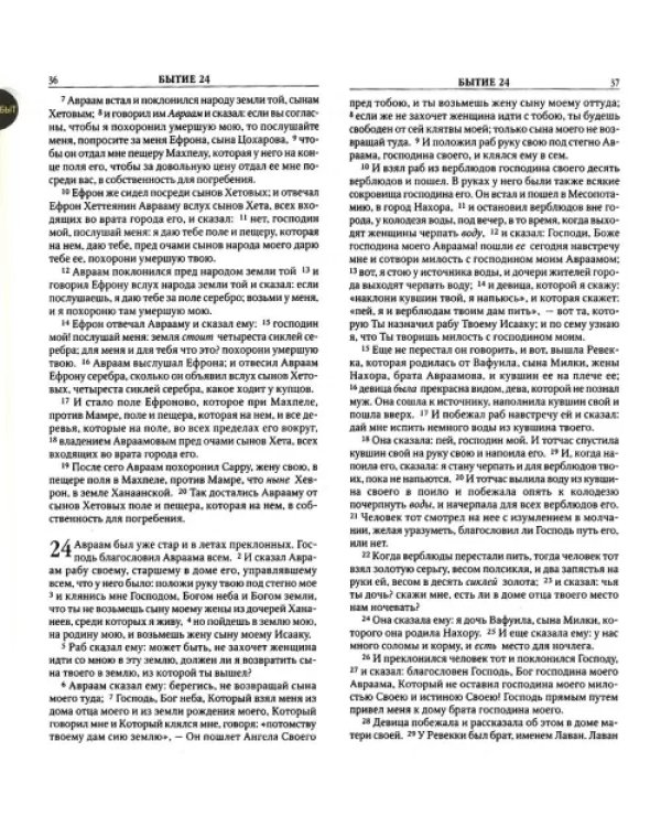 Библия (1019)