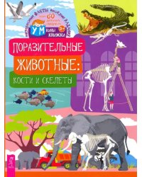 Поразительные животные. Кости и скелеты