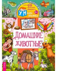 Домашние животные