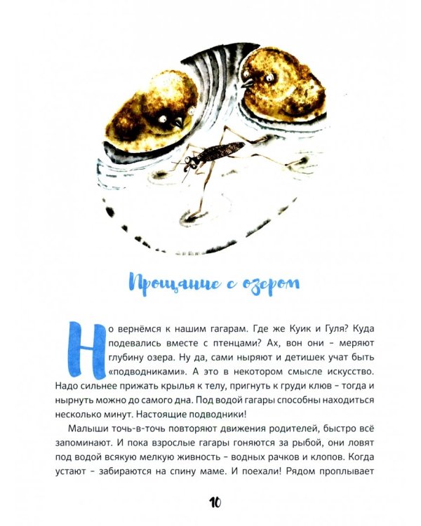 Жила за морем Гагара