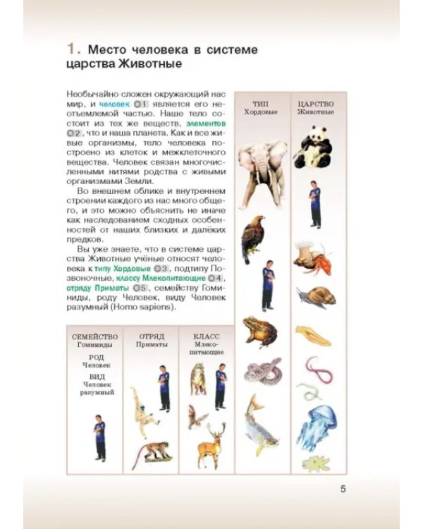 Биология. 8 класс. Учебник