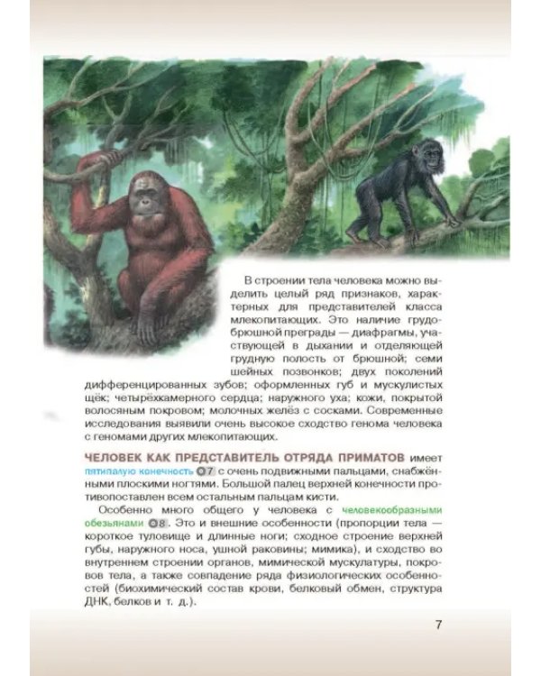 Биология. 8 класс. Учебник