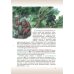 Биология. 8 класс. Учебник