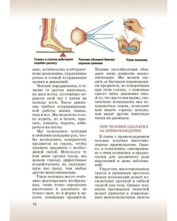 Биология. 8 класс. Учебник