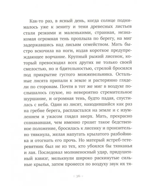 Рыжий лис