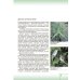 Биология. 6 класс. Учебник-навигатор