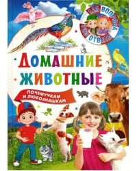 Домашние животные