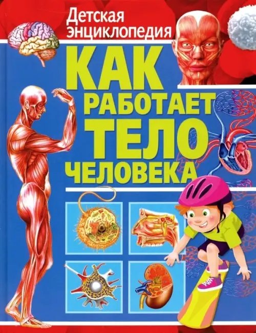 Как работает тело человека. Детская энциклопедия