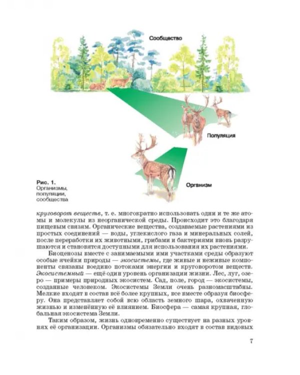 Экология. 10-11 классы. Учебник. Базовый уровень