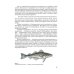 Экология. 10-11 классы. Учебник. Базовый уровень