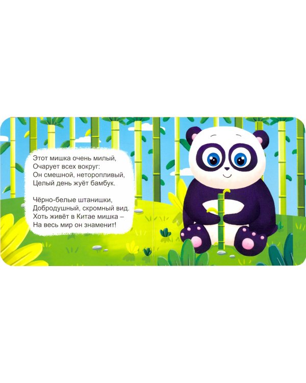 Загадки о животных