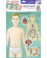Игра магнитная "Анатомия"