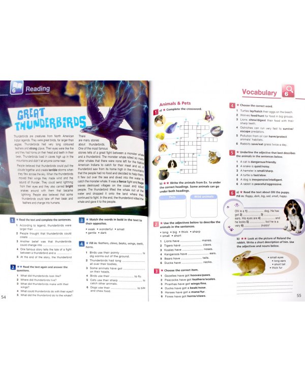 On Screen 1. Workbook &amp; Grammar Book with DigiBook application