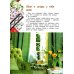 Изобразительное искусство. 3 класс. Учебник. ФГОС