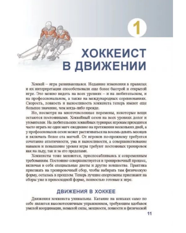 Анатомия хоккея