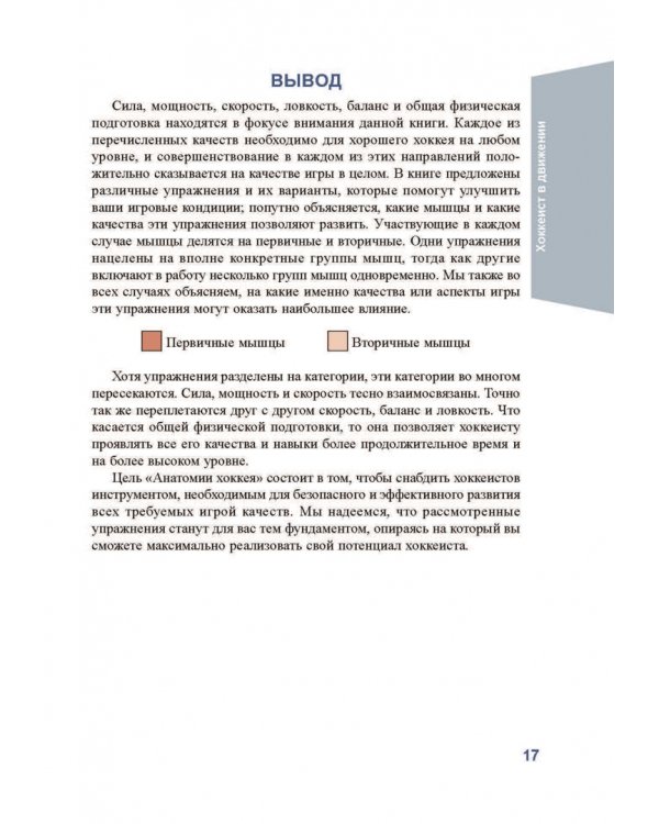 Анатомия хоккея