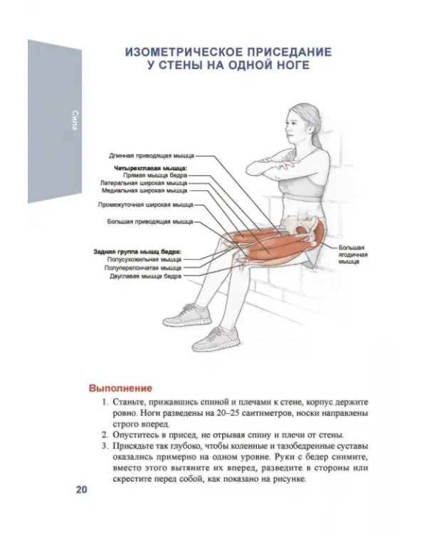 Анатомия хоккея