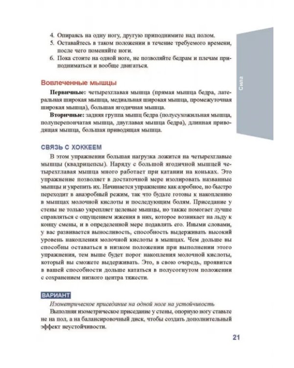 Анатомия хоккея