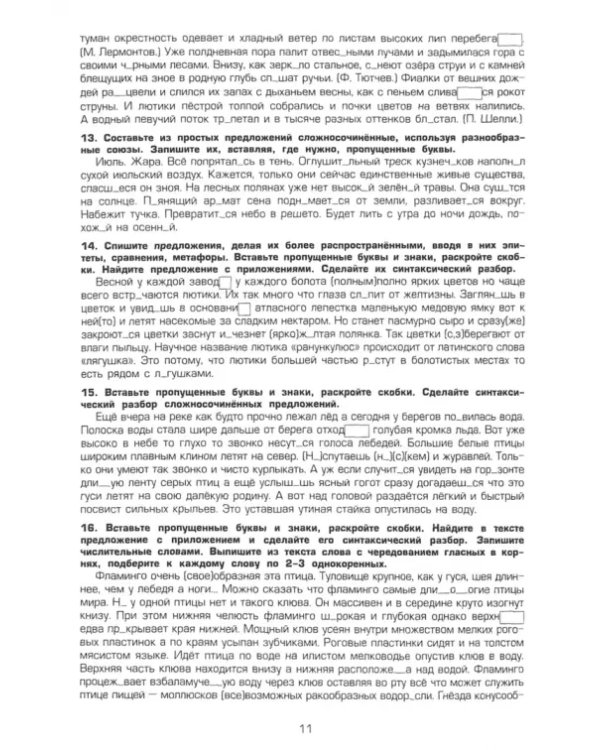 Русский язык. 9 класс. Сборник упражнений