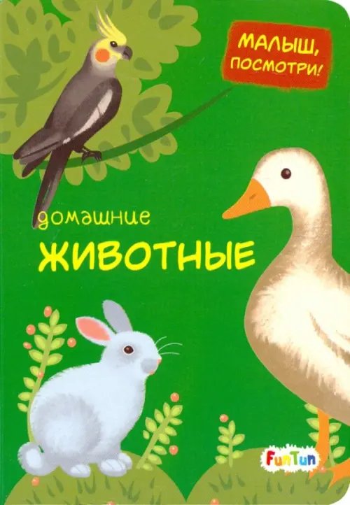 Малыш, посмотри Домашние животные