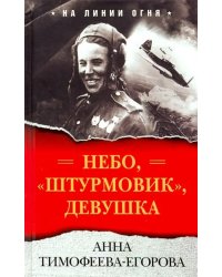 Небо, "штурмовик", девушка