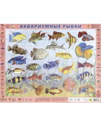 Пазл. Аквариумные рыбки, 63 элемента