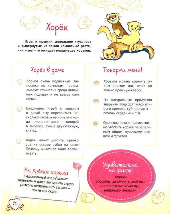 Большая энциклопедия для девочек