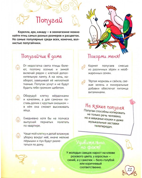 Большая энциклопедия для девочек