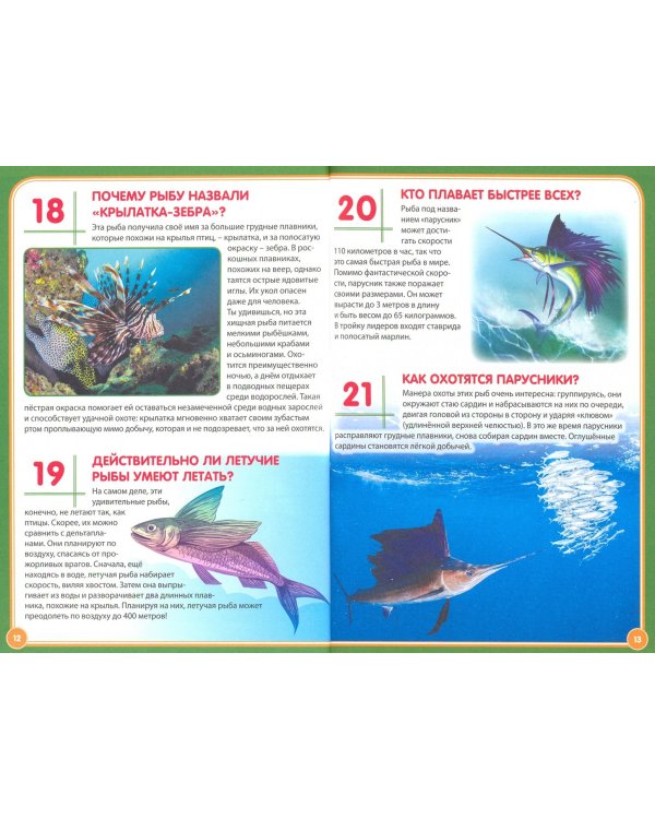 Подводный мир