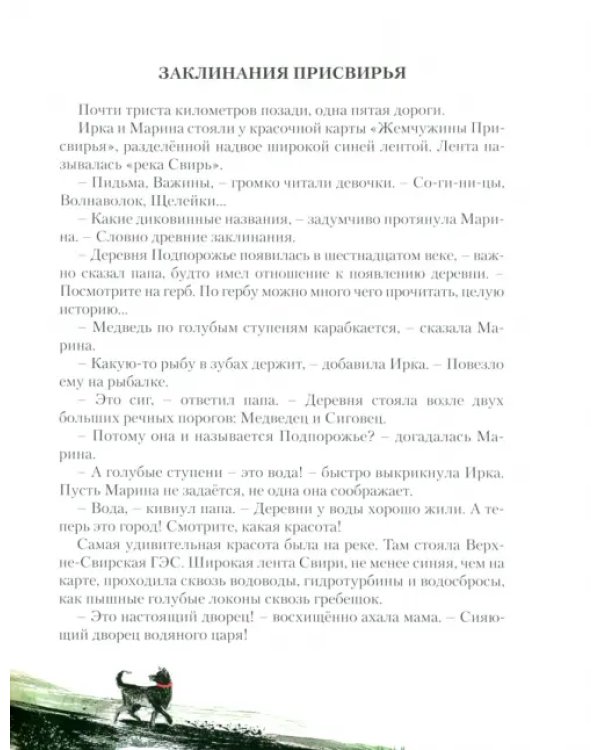 На Север. Путешествие вслед за чайкой