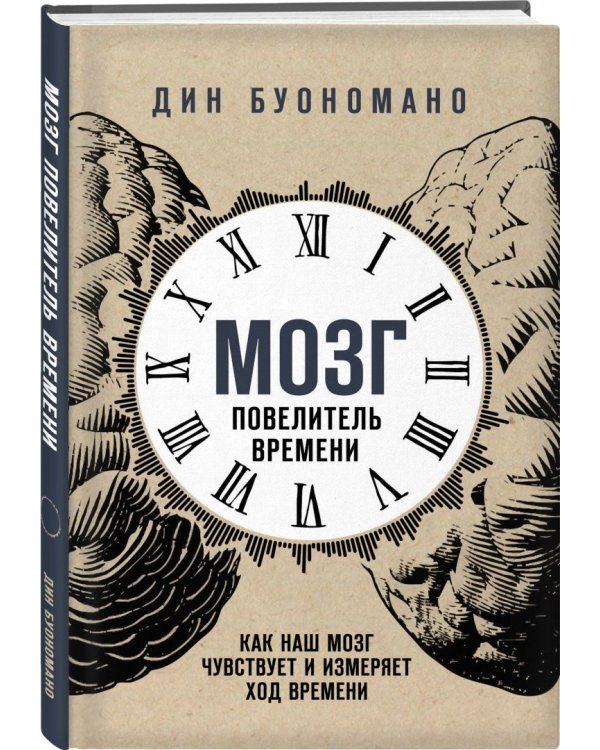 Мозг - повелитель времени. Как наш мозг чувствует и измеряет ход времени