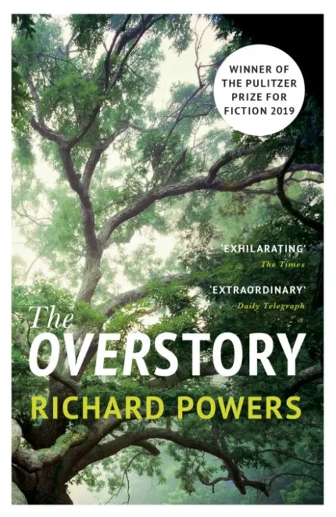 The Overstory The Overstory