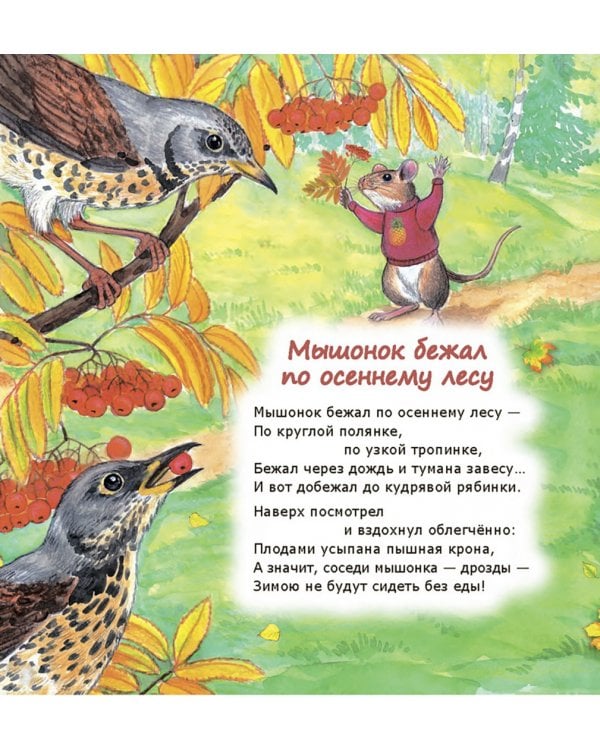 Кошки-мышки