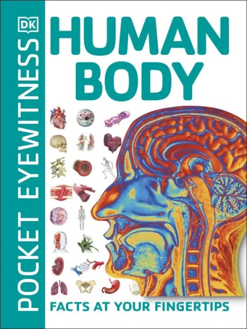 Pocket Eyewitness Human Body. Facts at Your Fingertips