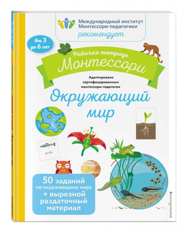 Окружающий мир. Рабочая тетрадь