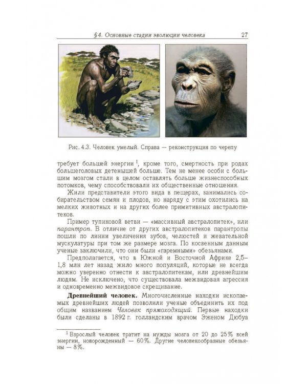 Дополнительное изображение книги «Естествознание. 11 класс»