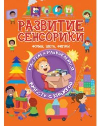 Развитие сенсорики. Формы, цвета, фигуры