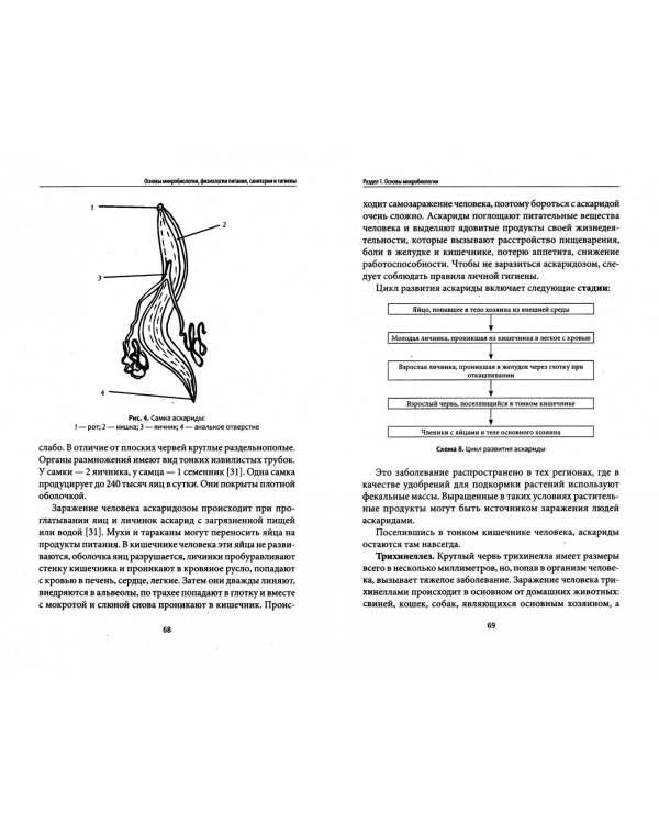 Основы микробиологии, физиологии питания, санитарии и гигиены. Учебное пособие. ФГОС