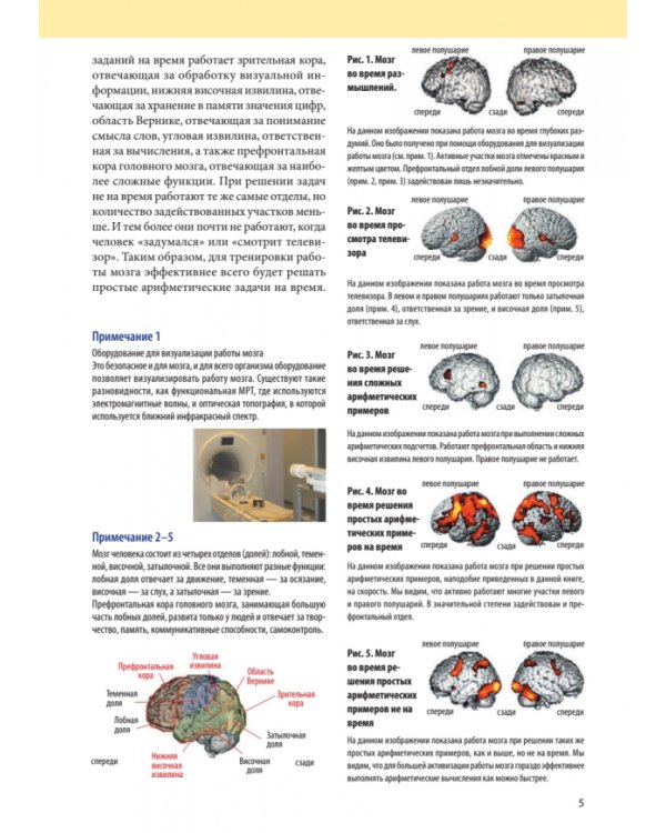Интеллект. Упражнения и задания по японской системе развития мозга