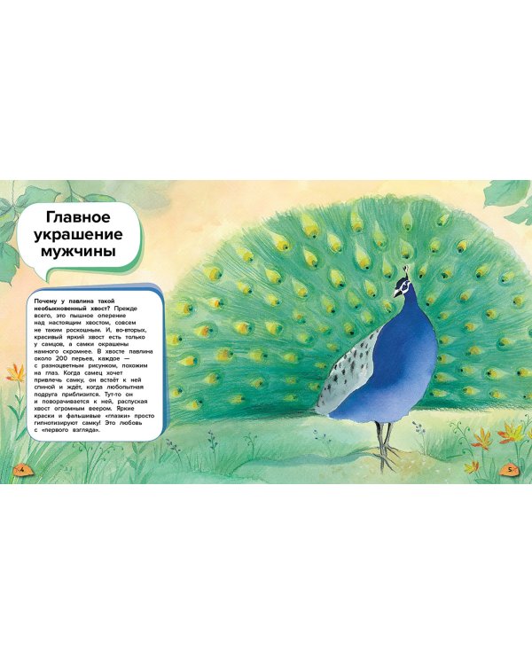 Чудеса животного мира. 44 удивительных факта о жизни животных