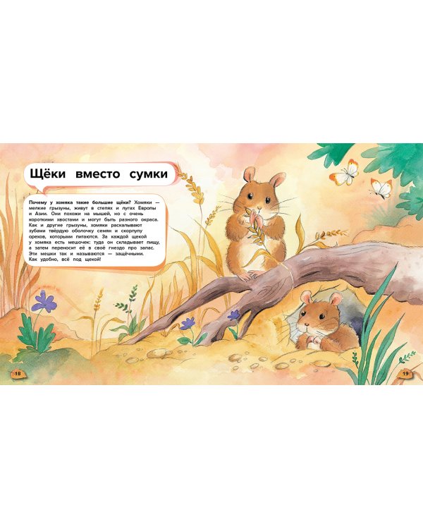 Чудеса животного мира. 44 удивительных факта о жизни животных