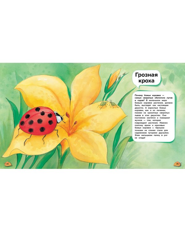 Чудеса животного мира. 44 удивительных факта о жизни животных