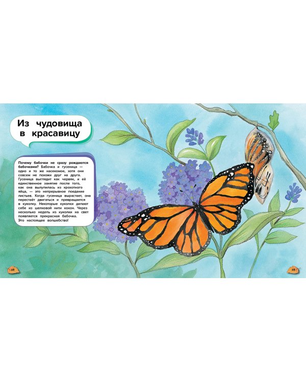 Чудеса животного мира. 44 удивительных факта о жизни животных